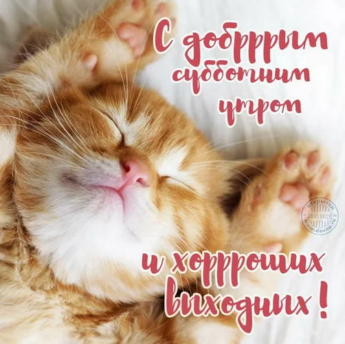 отличных выходных 11.webp