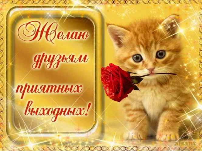 отличных выходных 12.webp