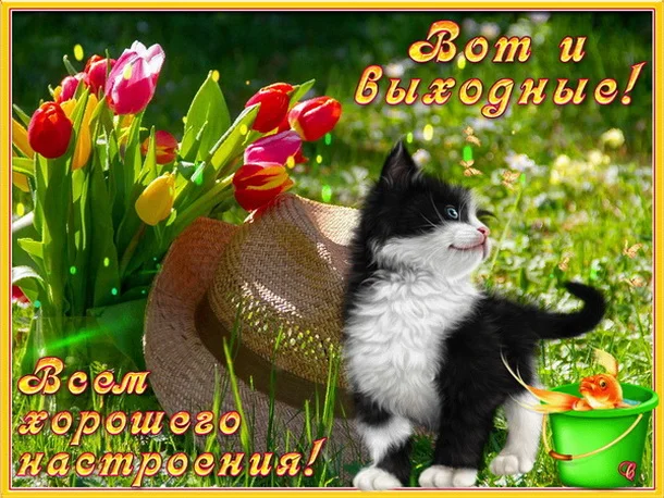 отличных выходных 13_p1.webp