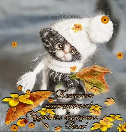 отличных выходных 19.webp