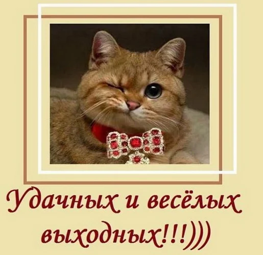 отличных выходных 4.webp