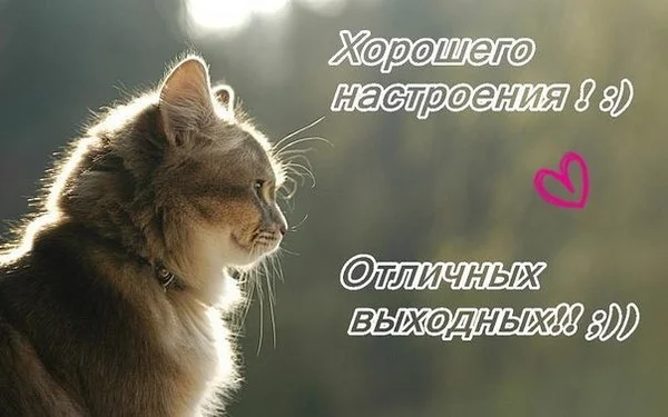 отличных выходных 6.webp