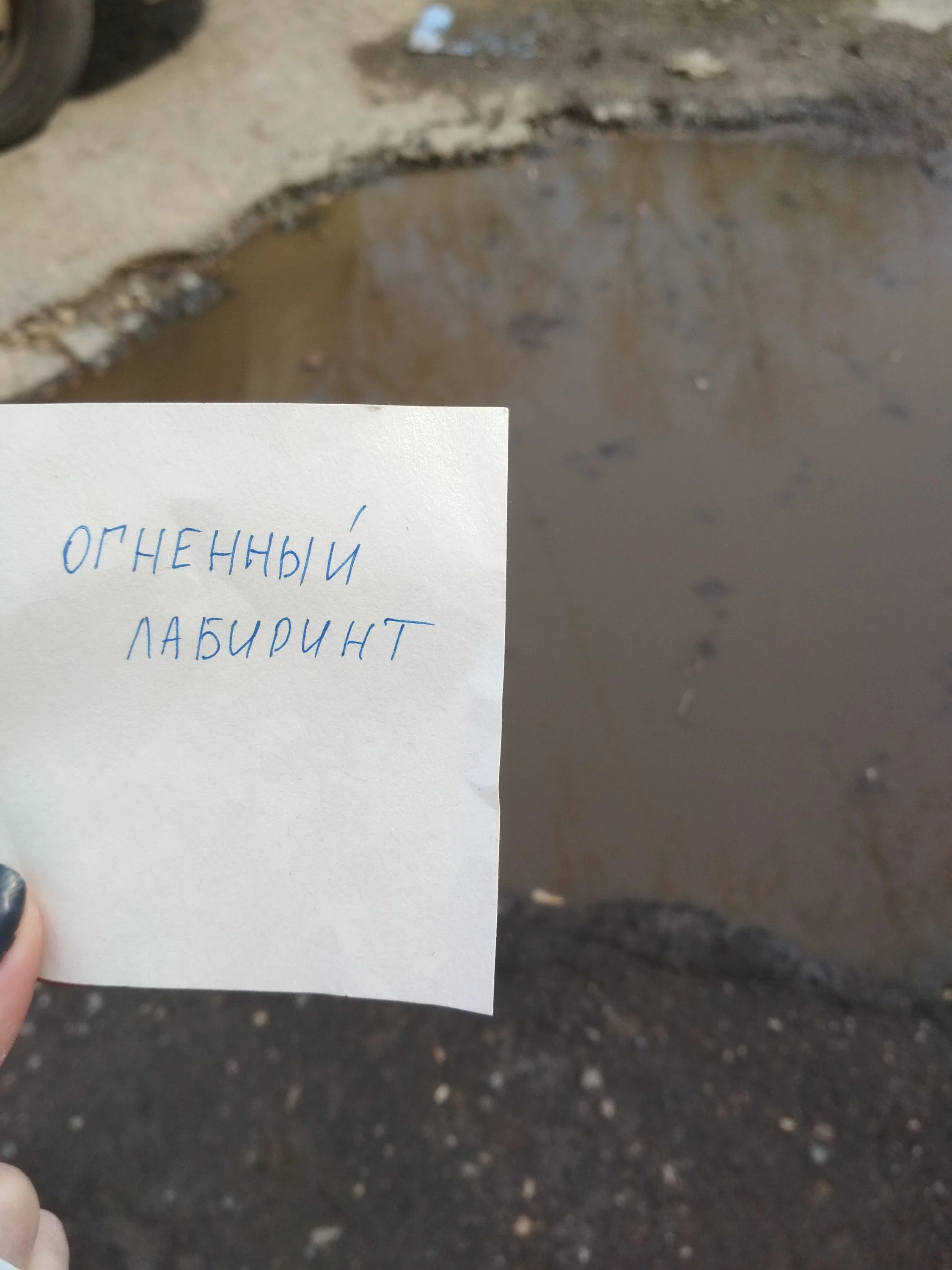 Отражение в луже.webp