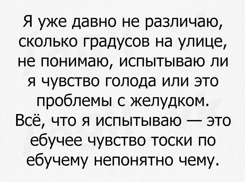 oU89wPj9sjs (1).webp