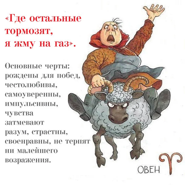овен-2.webp