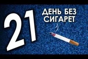 овячторв.webp