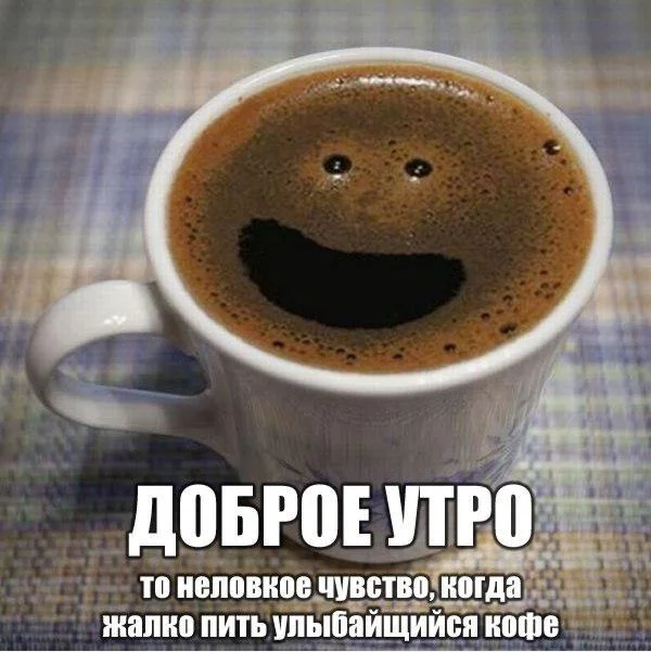 ovN04cybmDM.webp