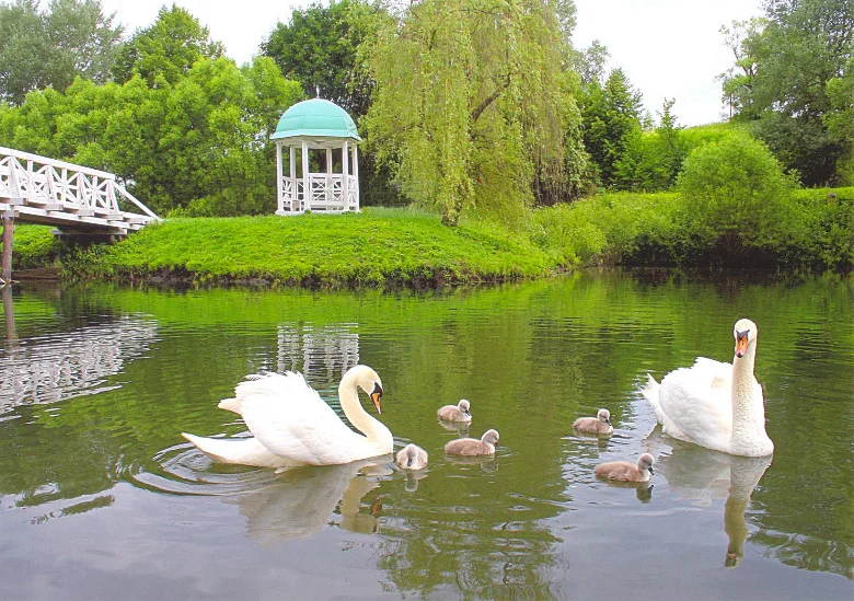 Овстуг. Фото 5.webp