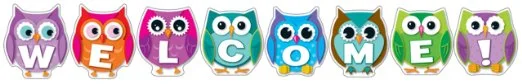 owlbanner.webp