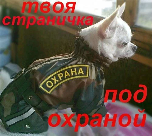 охрана.webp