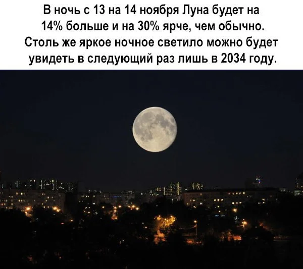 OZ_IkLU-4Yo.webp