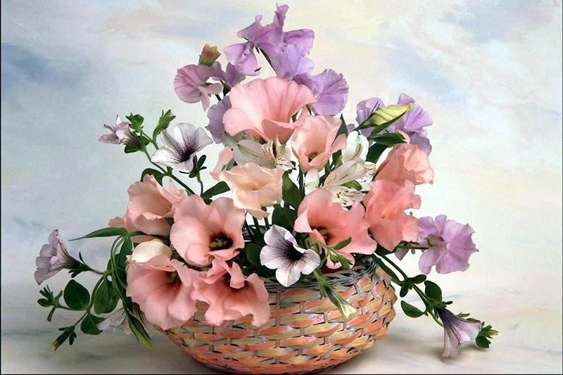 Ozelenenie_Tsvety_125.webp