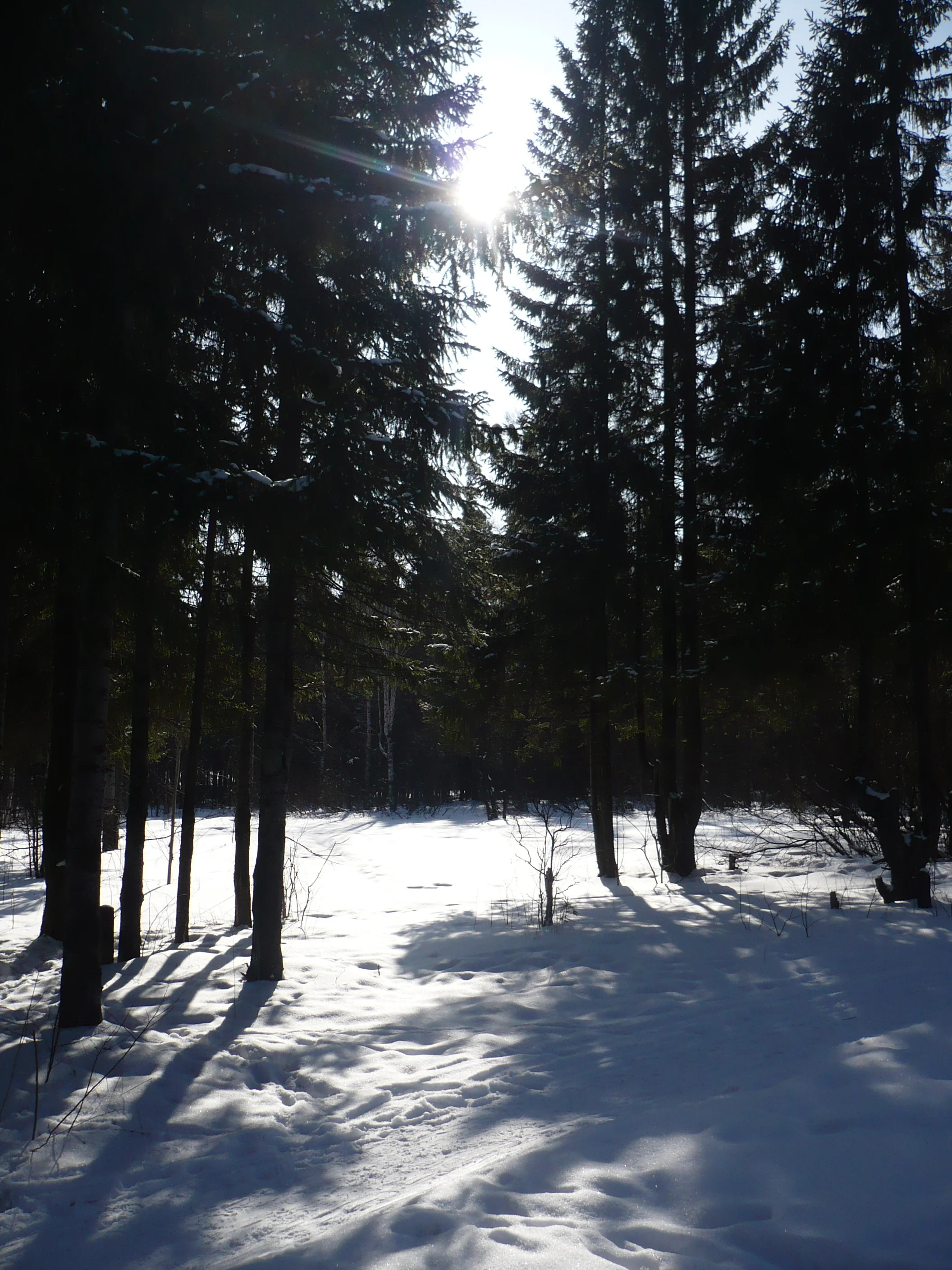 P1010130.webp
