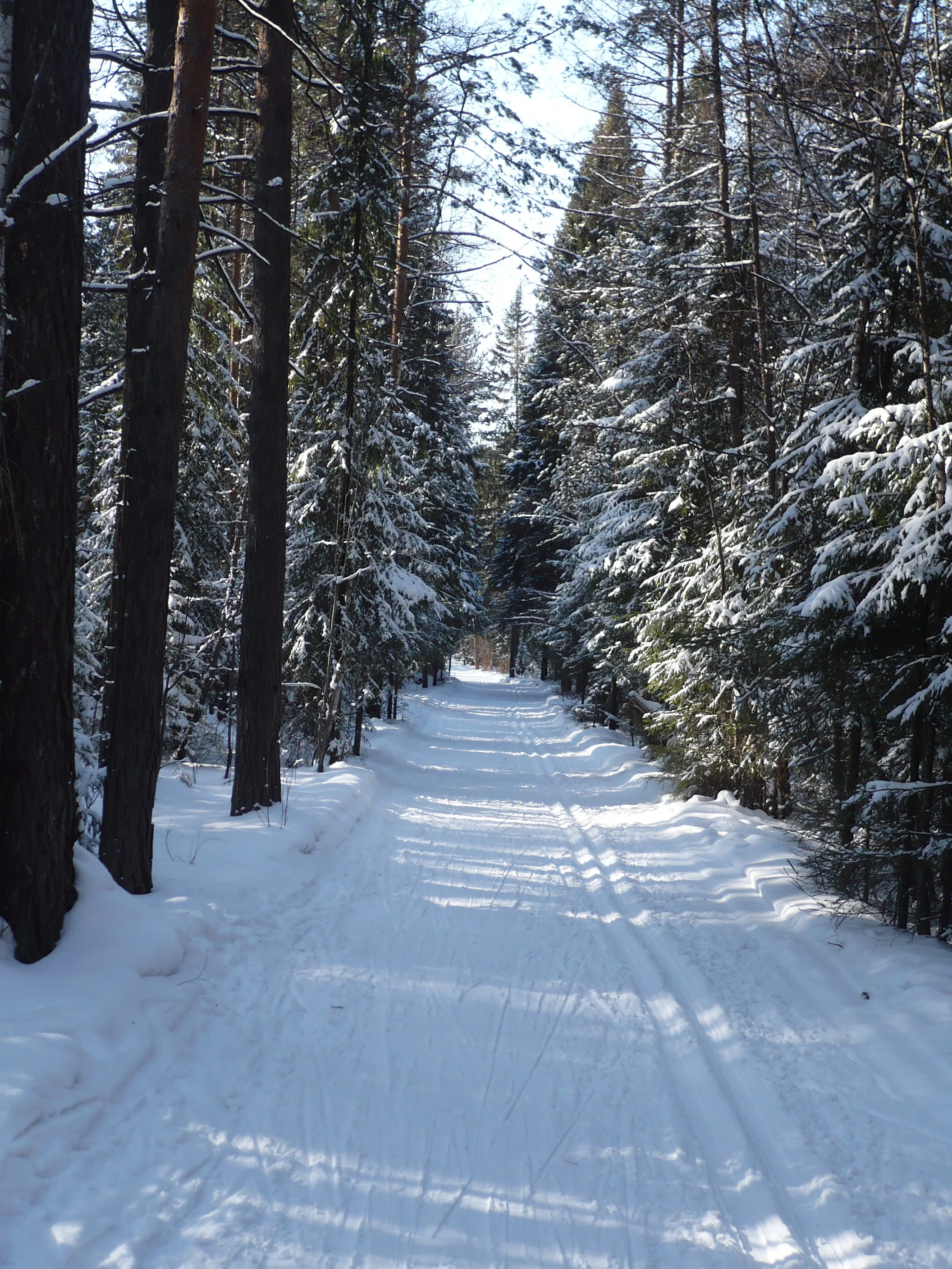 P1010143.webp