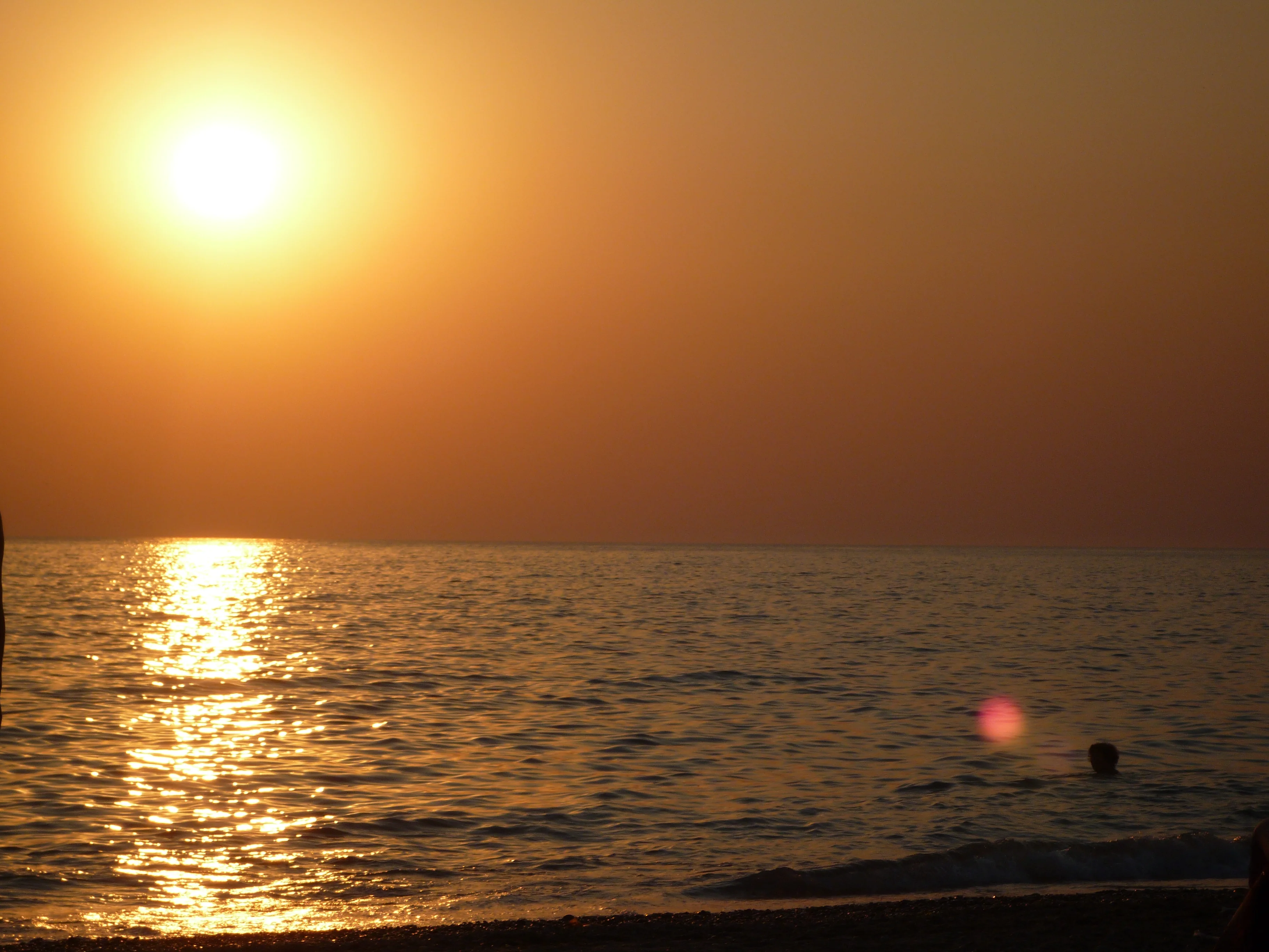 P1020042.webp