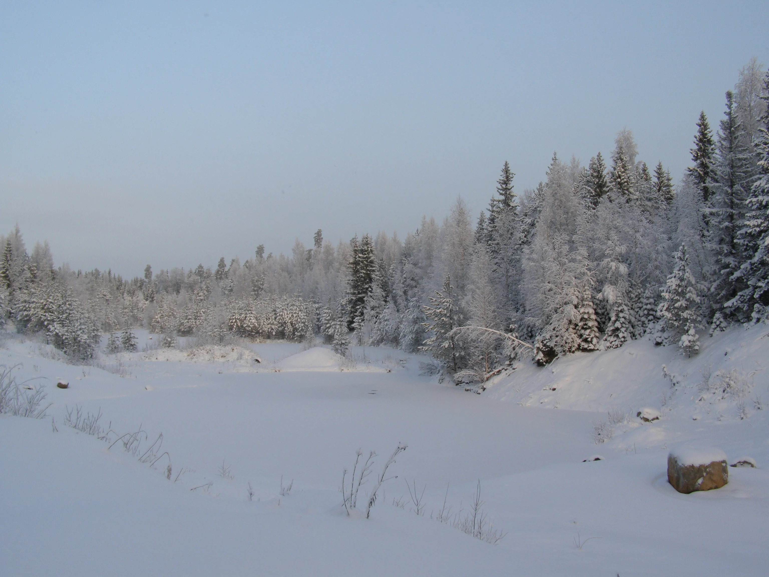 P1162826.webp