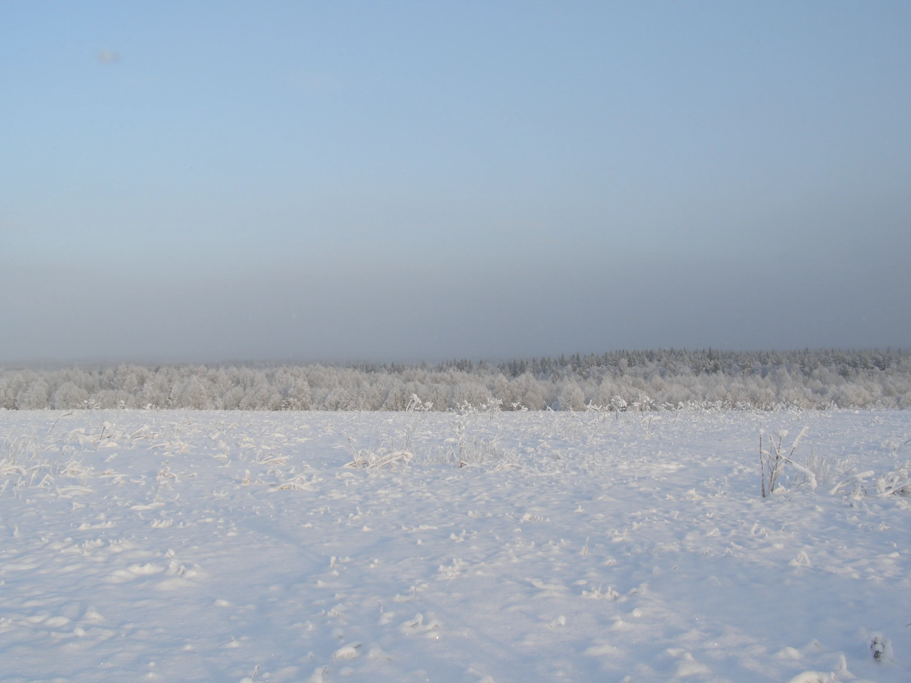 P1162839.webp