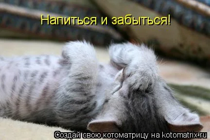p2.webp