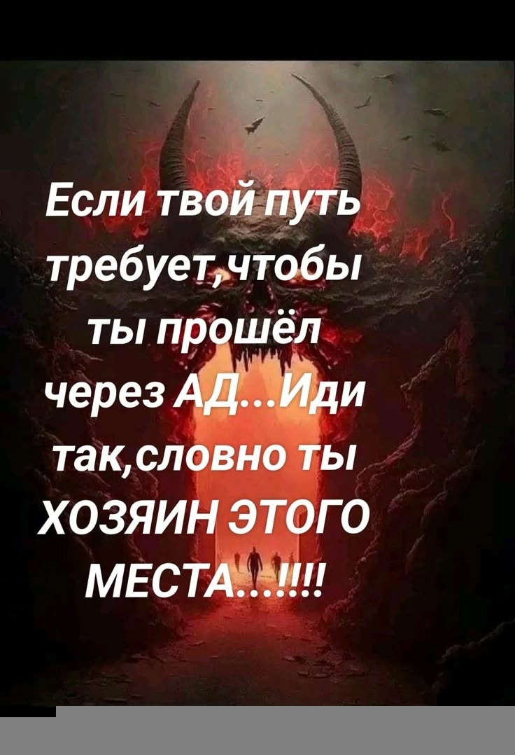 P4crFj6UiGw.webp