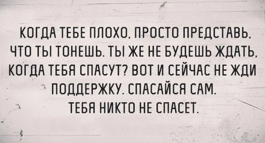p5qndXZ6wMg.webp