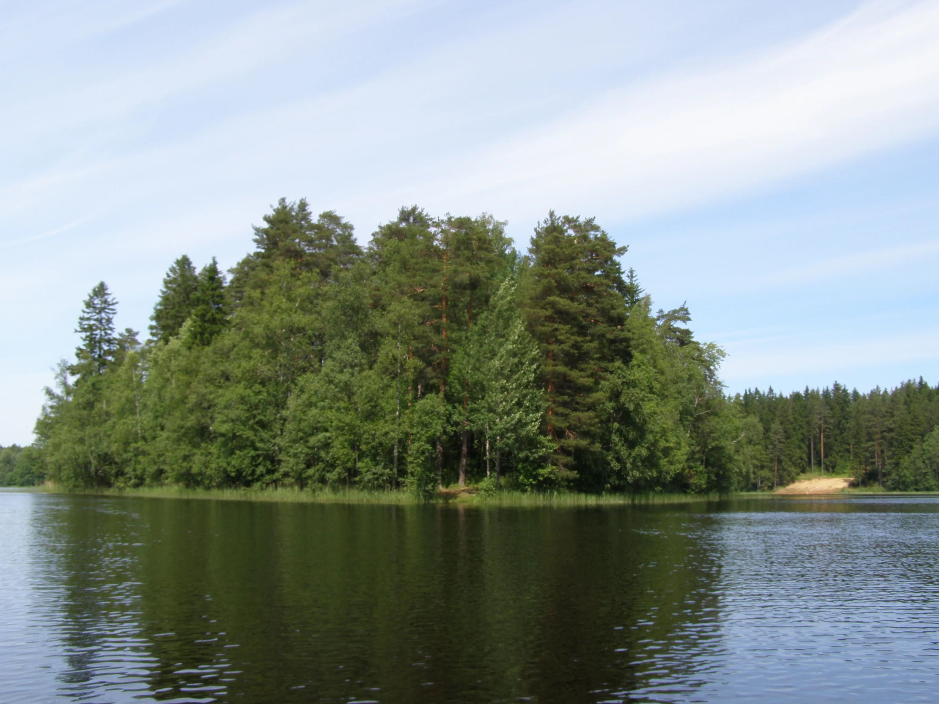 P7011113.webp