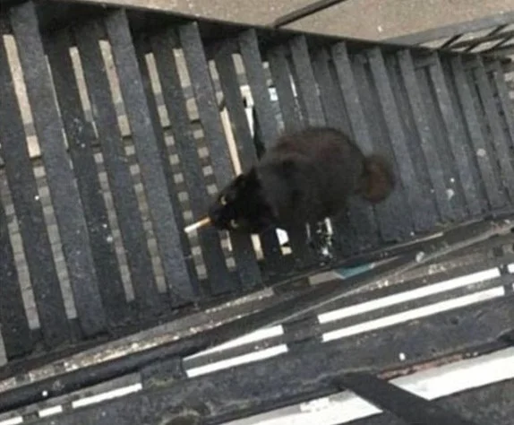 P7BeWImG_dU (2).webp