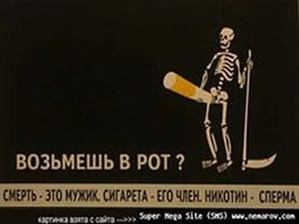 P_20q6h2r82mZvwHO.webp