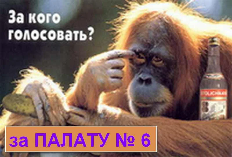 Палата_original.webp