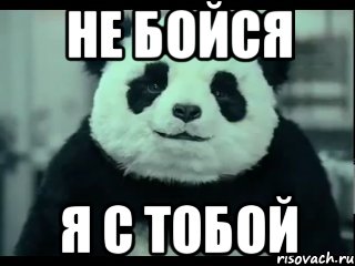 panda-ni-hujnya_42295608_orig_.jpg