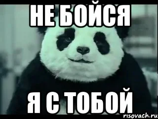 panda-ni-hujnya_42295608_orig_.webp