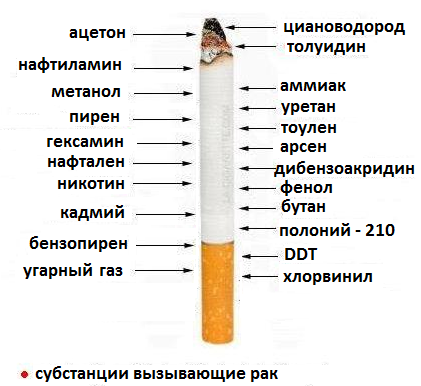 papieros — копия.png