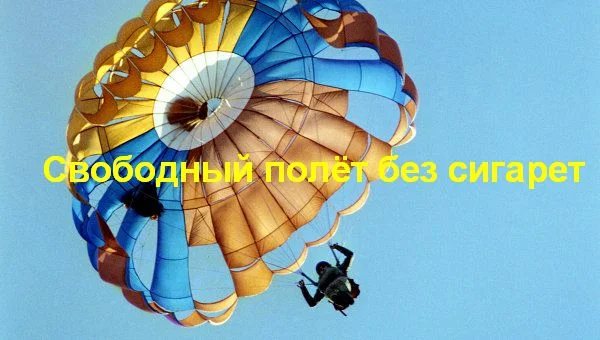 парашют 1.2 (2).webp