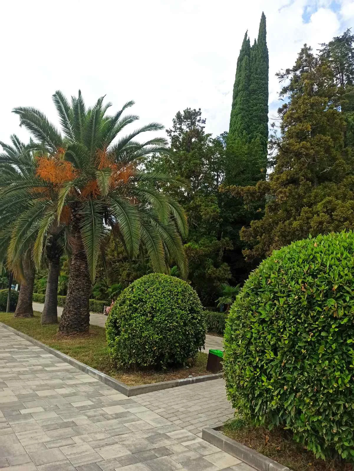 парк Гагры.webp