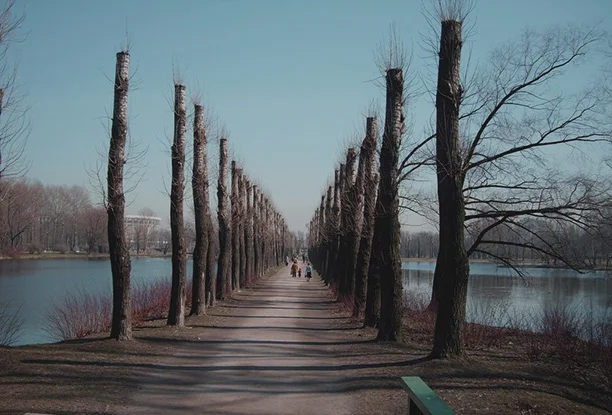 Парк победы.webp