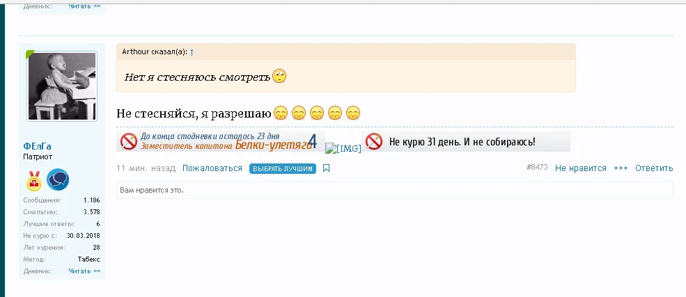 паропала белка.webp