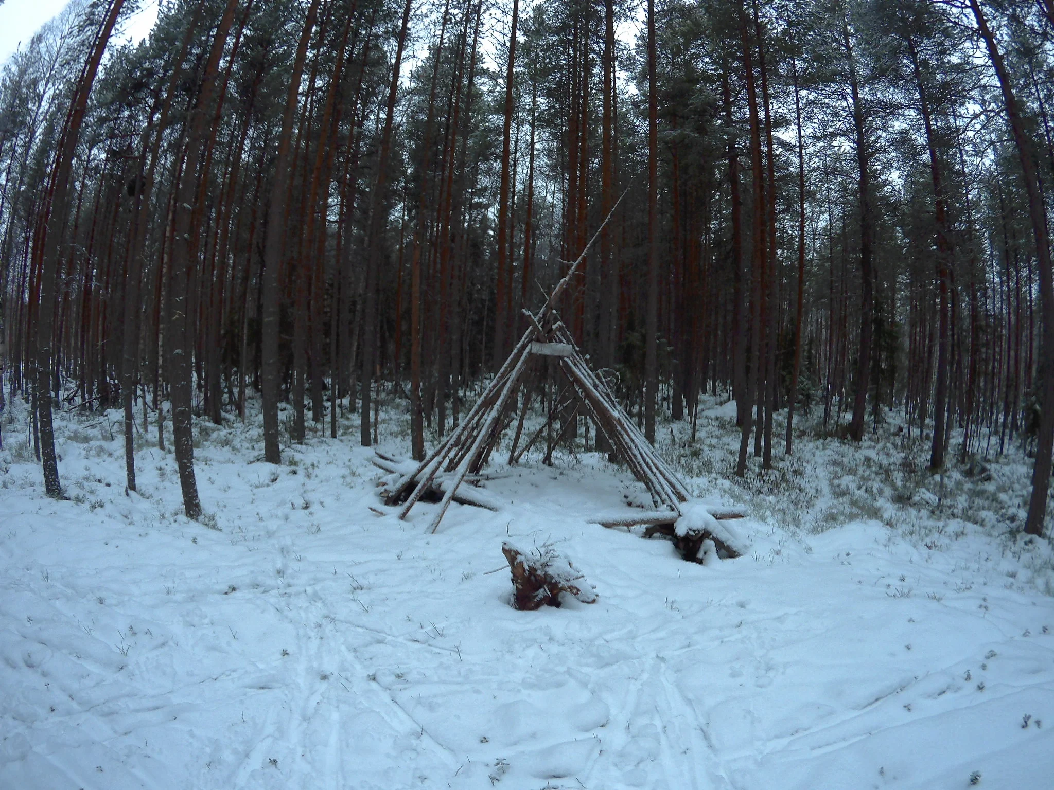 партизанский шалаш.webp