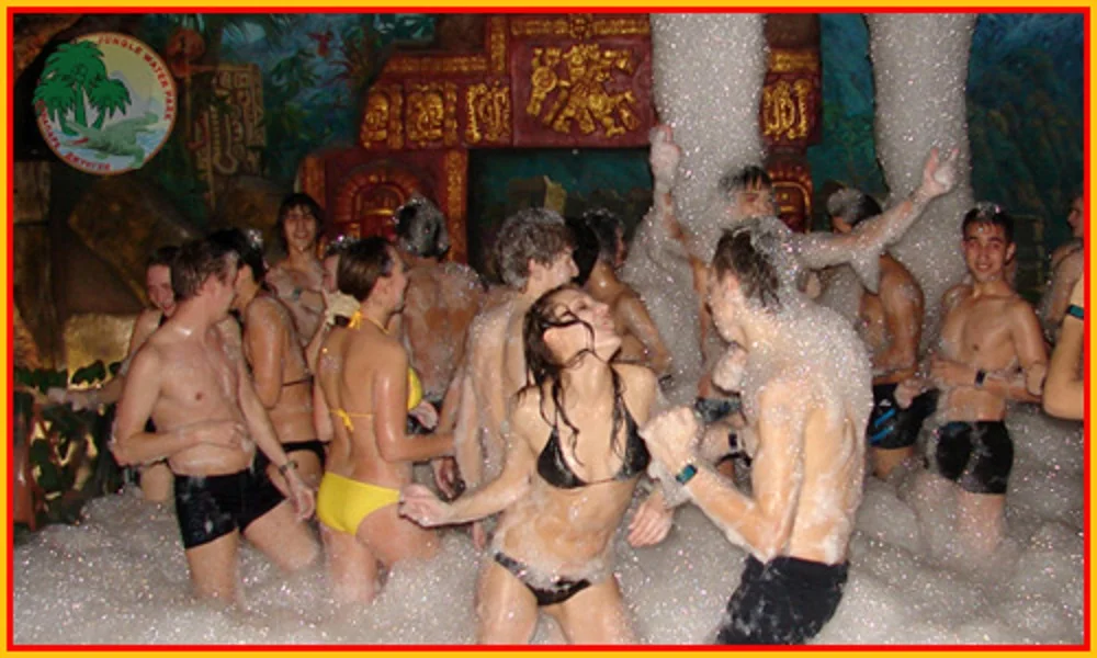 party_pena2.webp