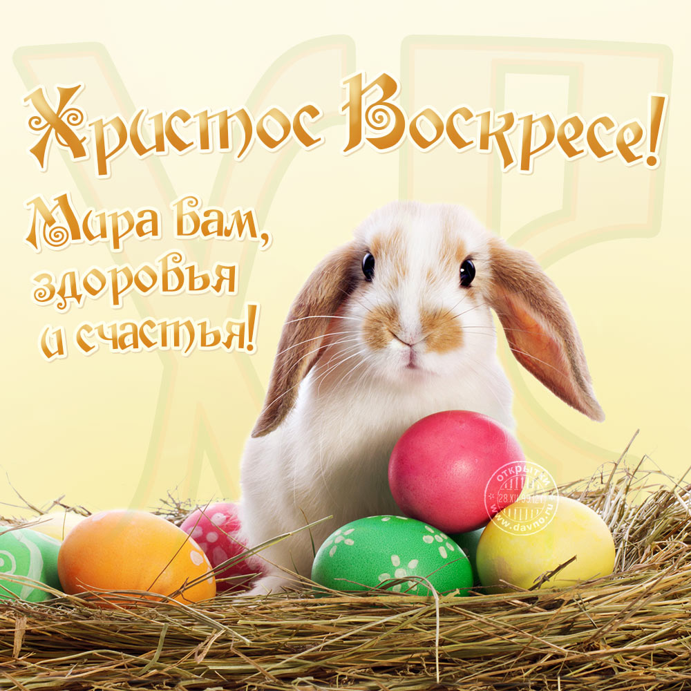 pasqua-1.jpg