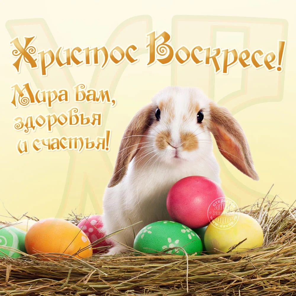 pasqua-1.webp