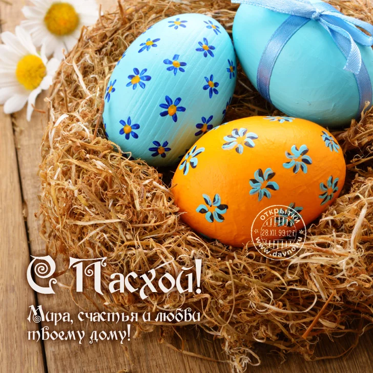 pasqua-17.webp