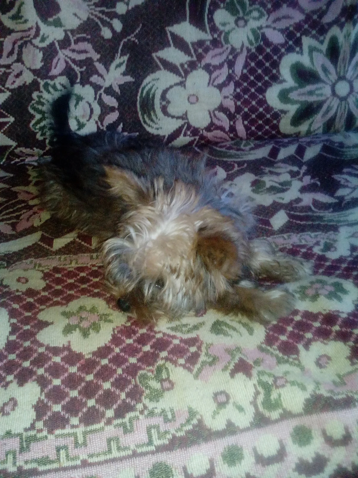 pasted image 0 (1).webp