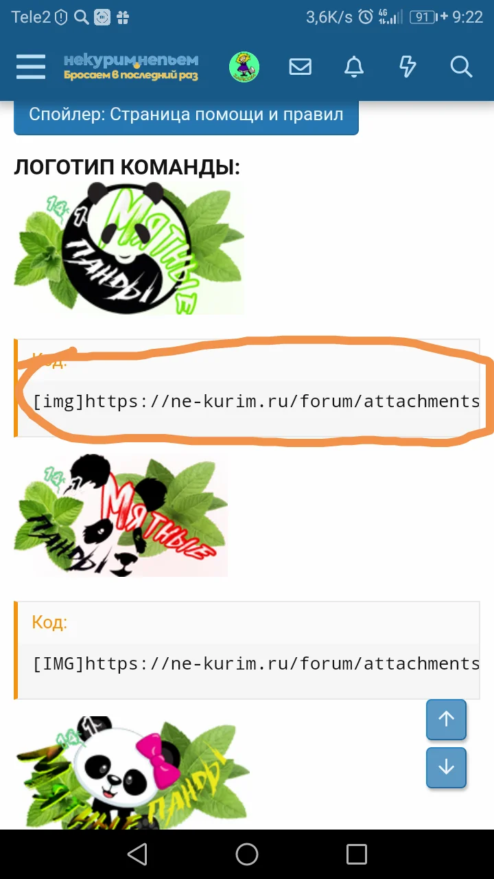 pasted image 0 (8).webp