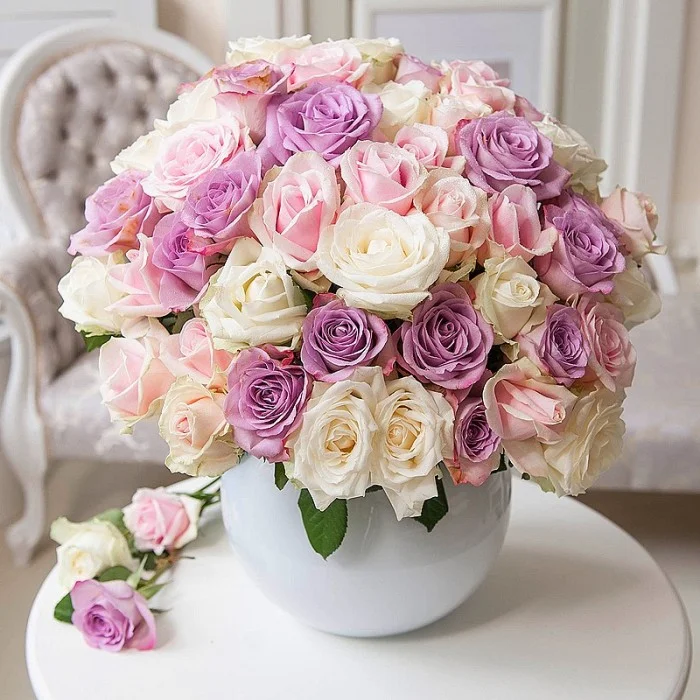 pastel_2.webp