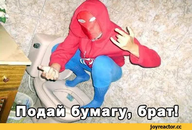 паук-живность-туалет-крипота-1330327.webp