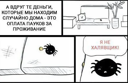 пауки.webp
