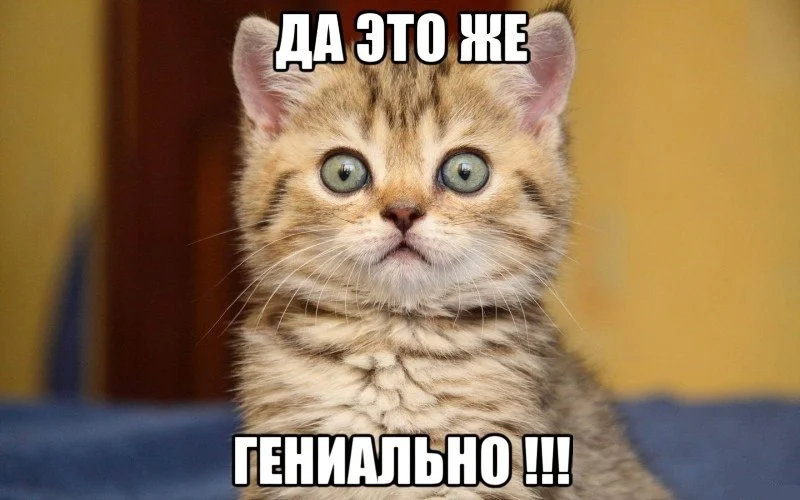 pD-A5Q_8uts.webp
