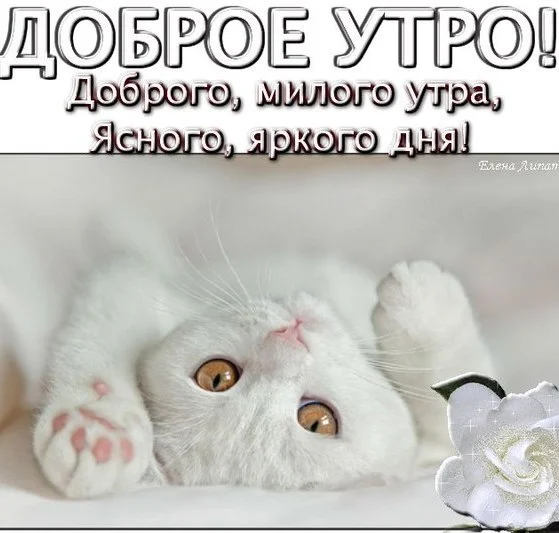 pD5ls9VX9L0.webp