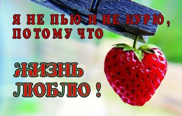 PdSvoXh9LHg.webp