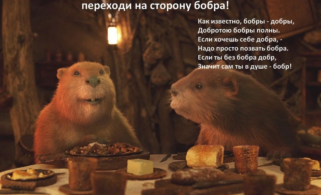 perekhodi_na_storonu_bobra-bobry-dobry.webp