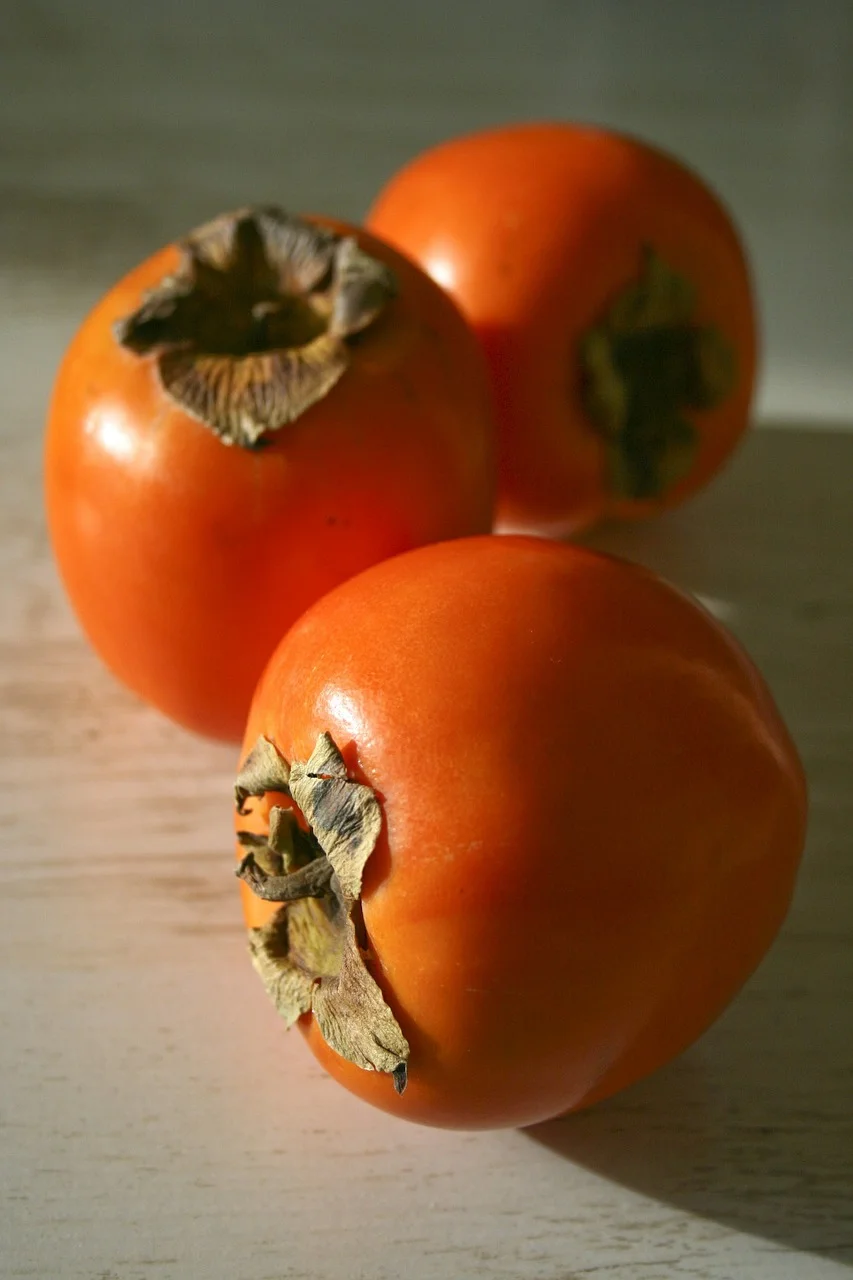 persimmon-559282_1280.webp